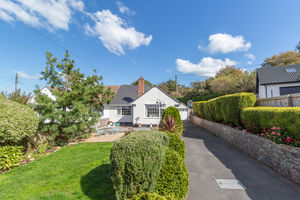 Photo 31- click for photo gallery